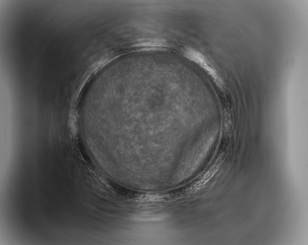 X0000095951357200802081249