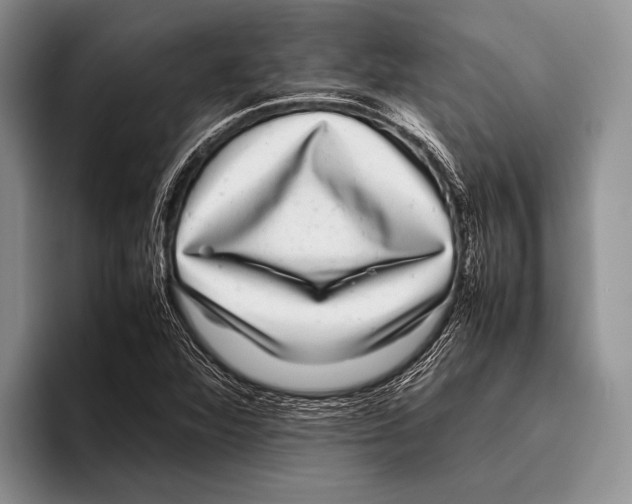 X0000095951360200802081249