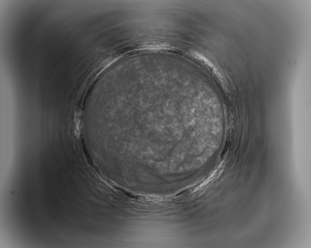 X0000095951361200802081249