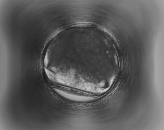 X0000095951362200802081249