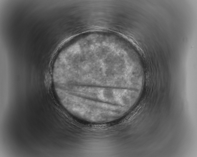 X0000095951363200802081249