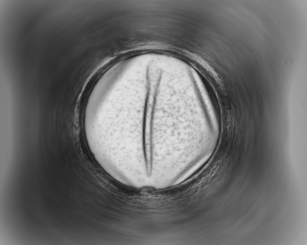 X0000095951364200802081249