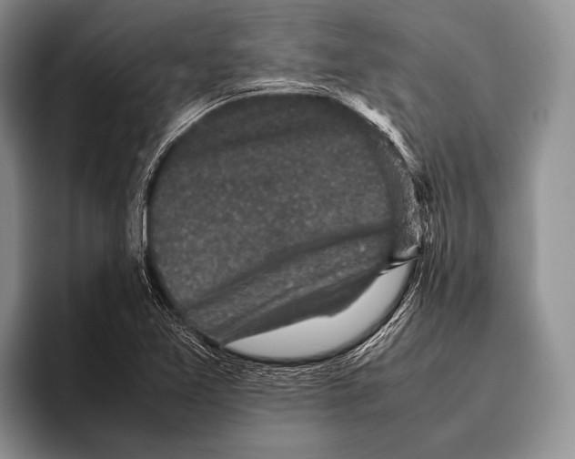 X0000095951365200802081249