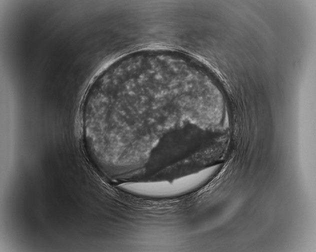 X0000095951367200802081249