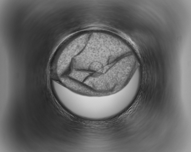 X0000095951368200802081249