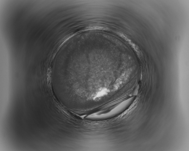 X0000095951369200802081249