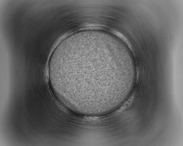 X0000095951370200802081249