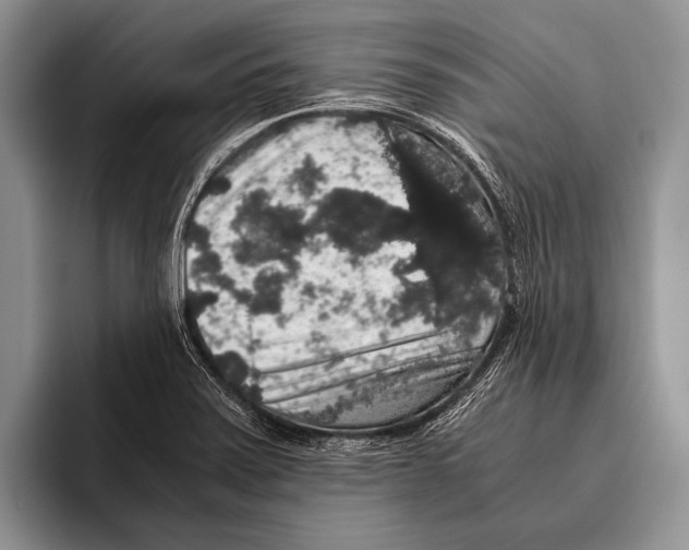 X0000095951371200802081249