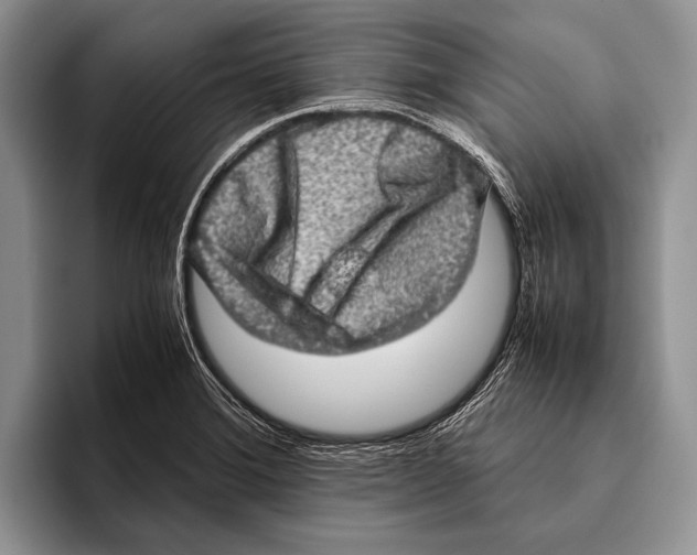 X0000095951372200802081249