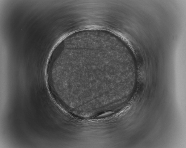 X0000095951373200802081249