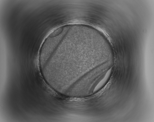 X0000095951374200802081249