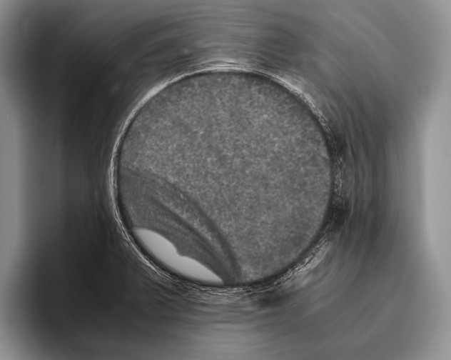 X0000095951375200802081249