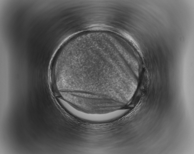 X0000095951376200802081249