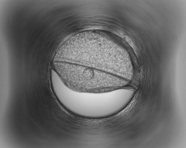 X0000095951377200802081249