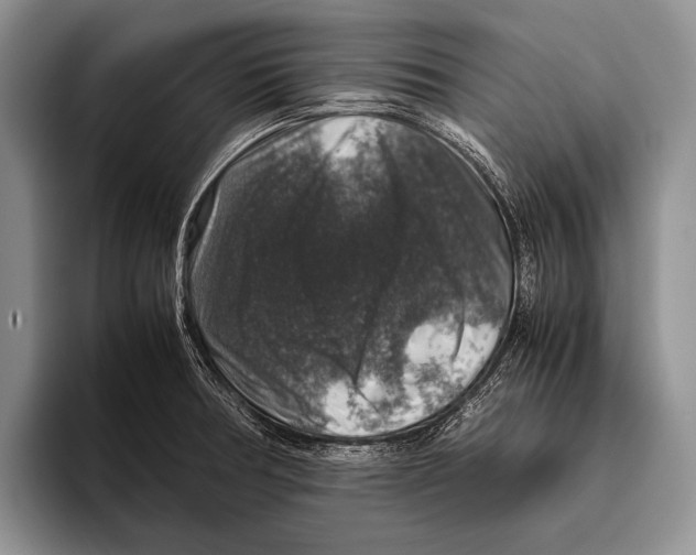 X0000095951378200802081249