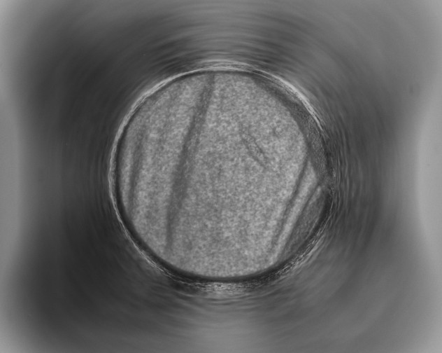 X0000095951379200802081249