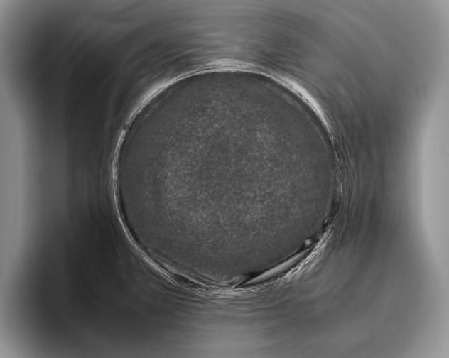 X0000095951381200802081248