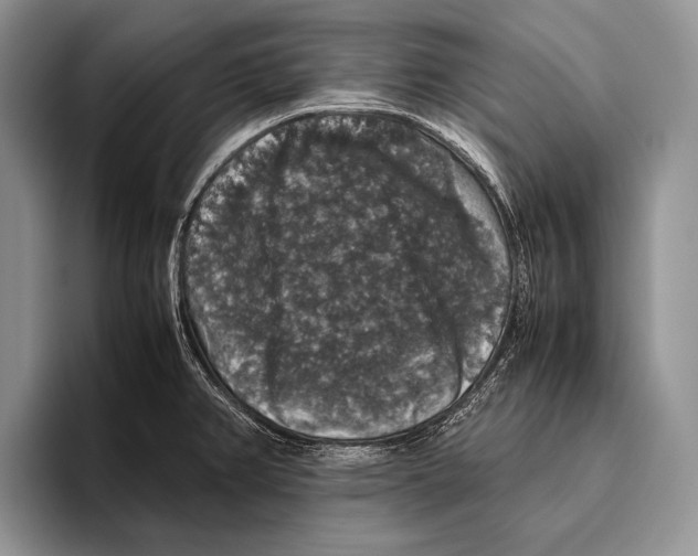 X0000095951382200802081248