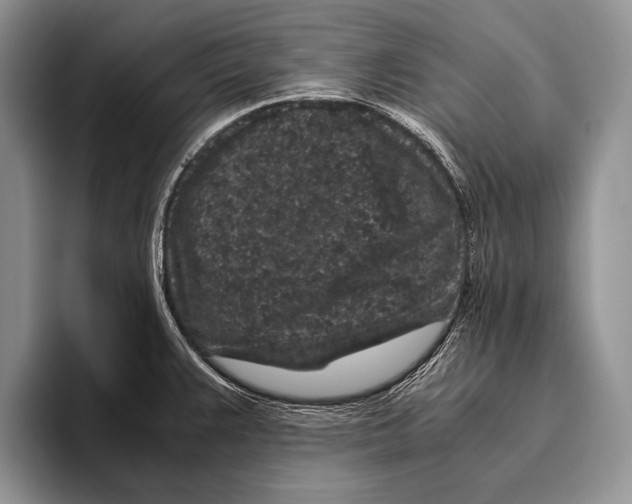 X0000095951383200802081248