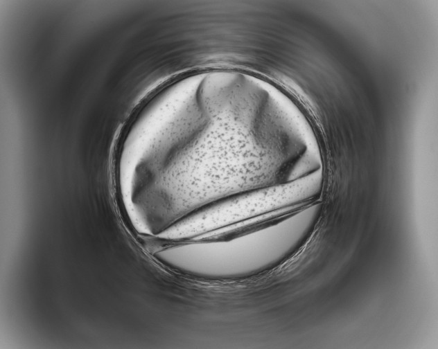 X0000095951384200802081248