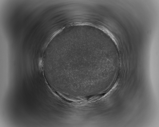 X0000095951385200802081248