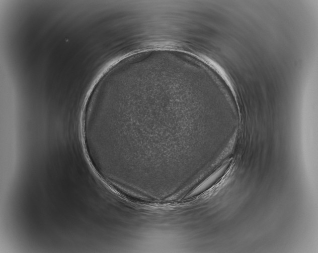 X0000095951389200802081248