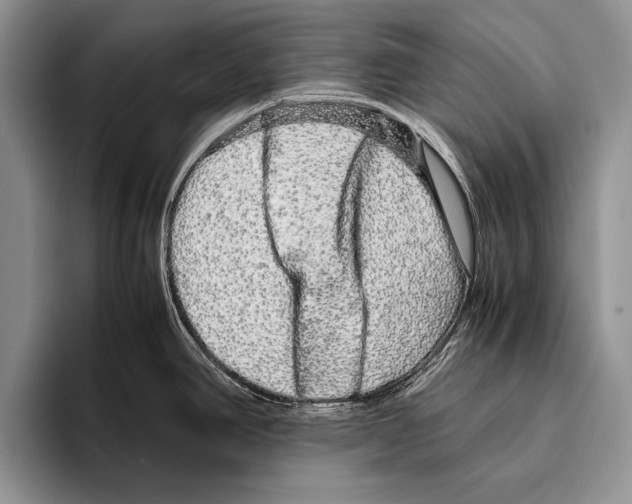 X0000095951390200802081248