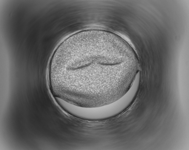 X0000095951391200802081248