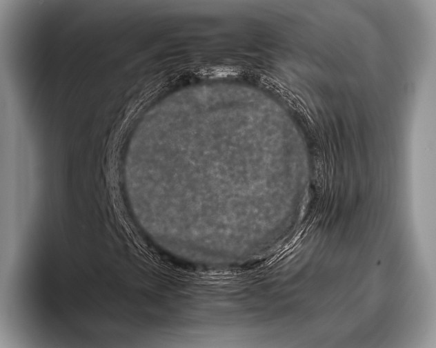 X0000095951393200802081248