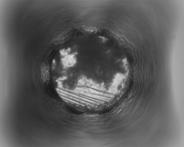 X0000095951394200802081248