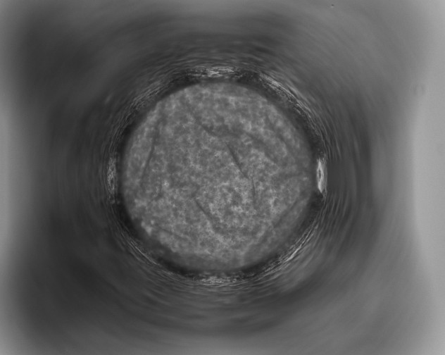 X0000095951395200802081248