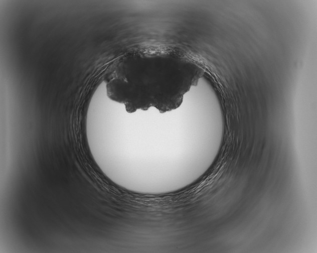 X0000095951396200802081248