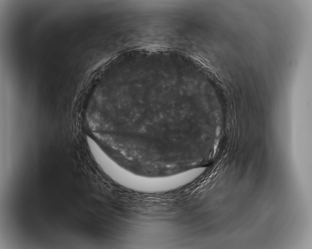 X0000095951398200802081248