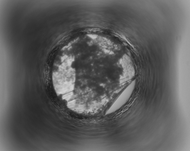 X0000095951399200802081248