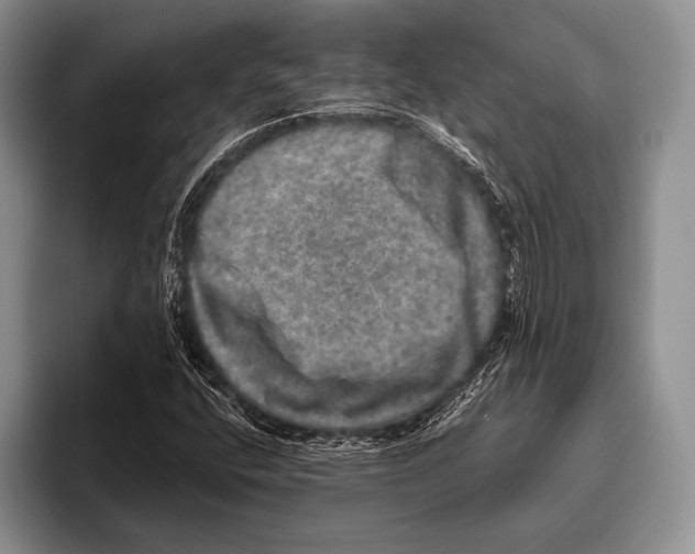 X0000095951400200802081248