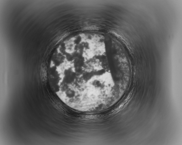 X0000095951401200802081248