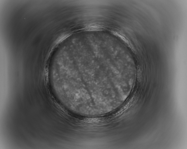 X0000095951402200802081248