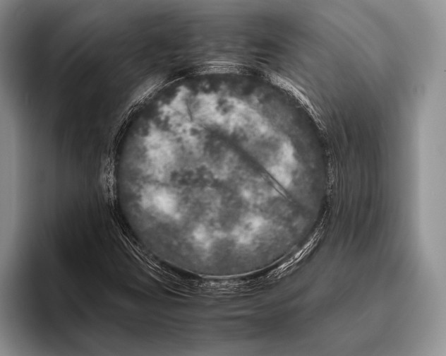 X0000095951403200802081248