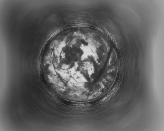 X0000095951405200802081248