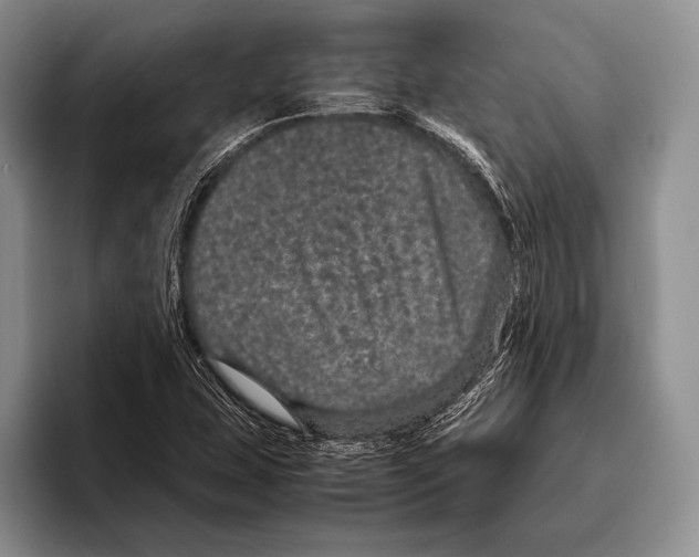 X0000095951407200802081248