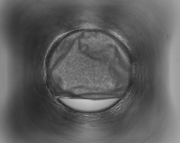 X0000095951408200802081248