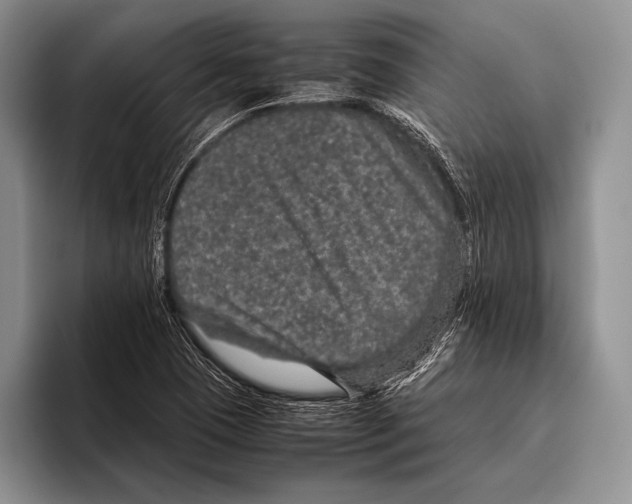 X0000095951409200802081248