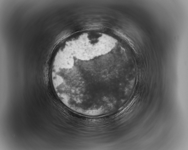 X0000095951411200802081248