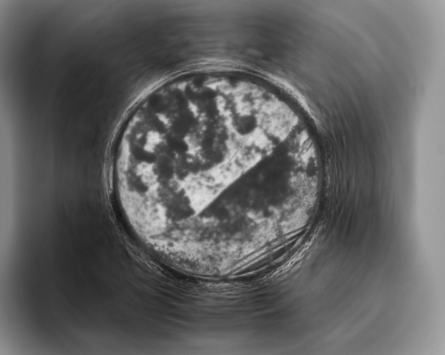 X0000095951413200802081248