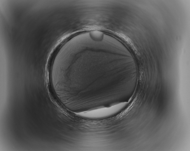 X0000095951414200802081248