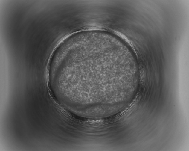 X0000095951415200802081248