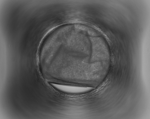 X0000095951416200802081248