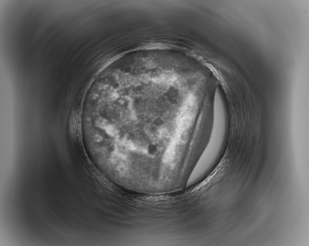 X0000095951417200802081248