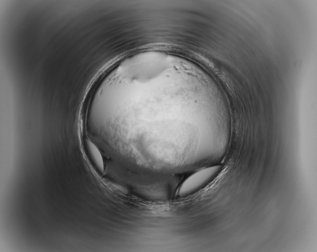 X0000095951418200802081248