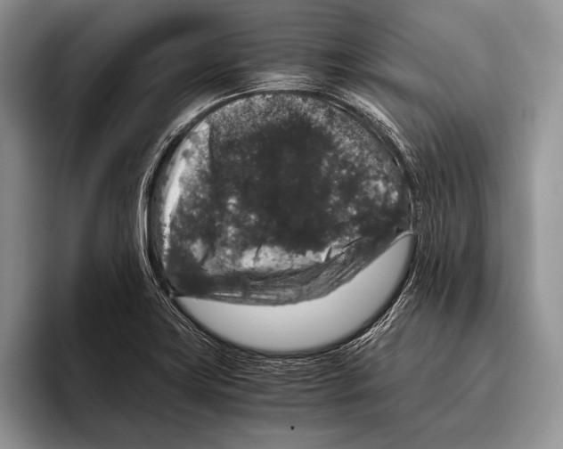 X0000095951419200802081248